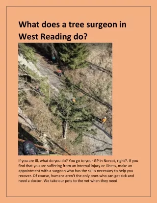 what does a tree surgeon in west reading do