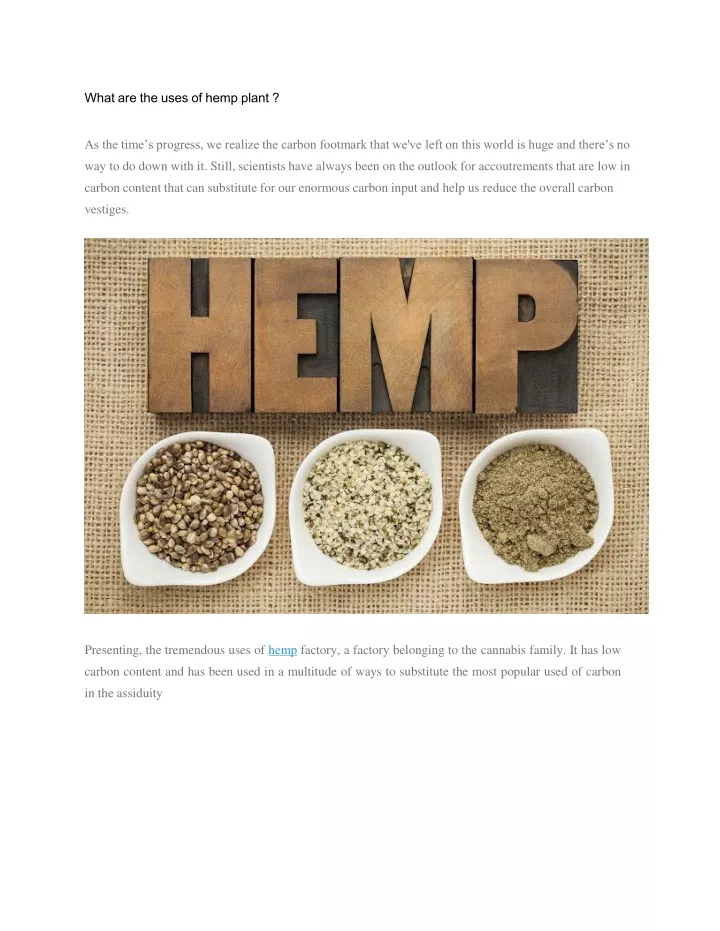 what are the uses of hemp plant as the time