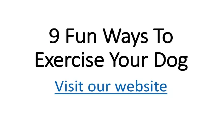 9 fun ways to exercise your dog