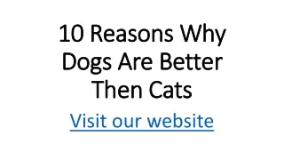 10 Reasons Why Dogs Are Better Then Cats