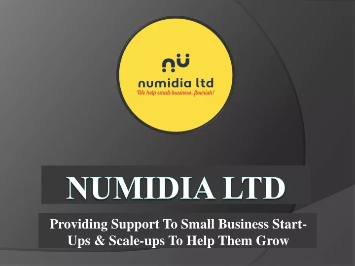 providing support to small business start ups scale ups to help them grow