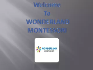 wonderlandmontessori.ie