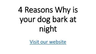 4 Reasons Why is your dog bark at night