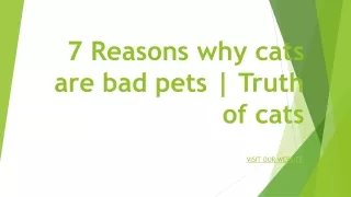 7 Reasons why cats are bad pets  Truth of cats