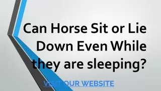 Can Horse Sit or Lie Down Even While they are sleeping