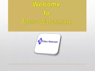Best Photo and Image Watermark Software  - masswatermark.com