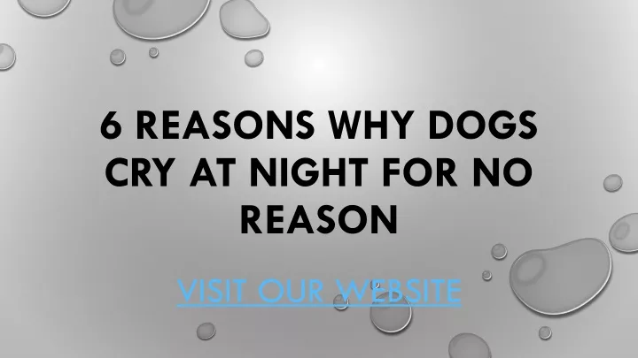 6 reasons why dogs cry at night for no reason