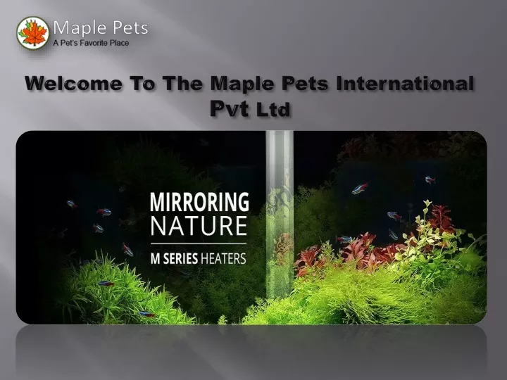 welcome to the maple pets international pvt ltd
