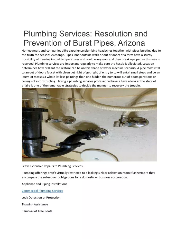 plumbing services resolution and prevention