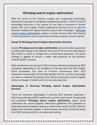 winnipeg search engine optimization