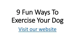 9 Fun Ways To Exercise Your Dog