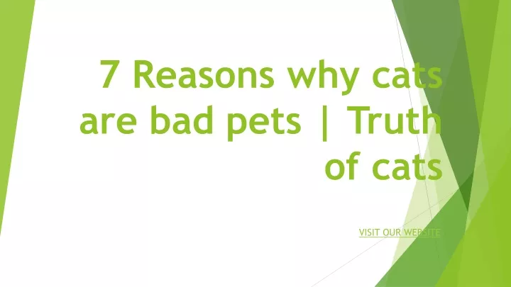 7 reasons why cats are bad pets truth