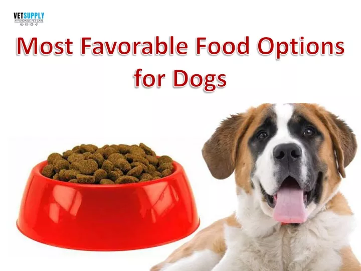 most favorable food options for dogs