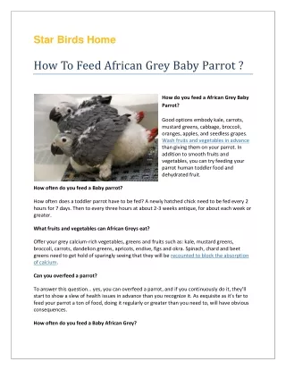 star birds home how to feed african grey baby