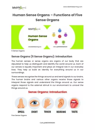 Human Sense Organs - Functions of Five Sense Organs - Takshila Learning