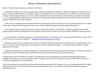 what is wordpress development