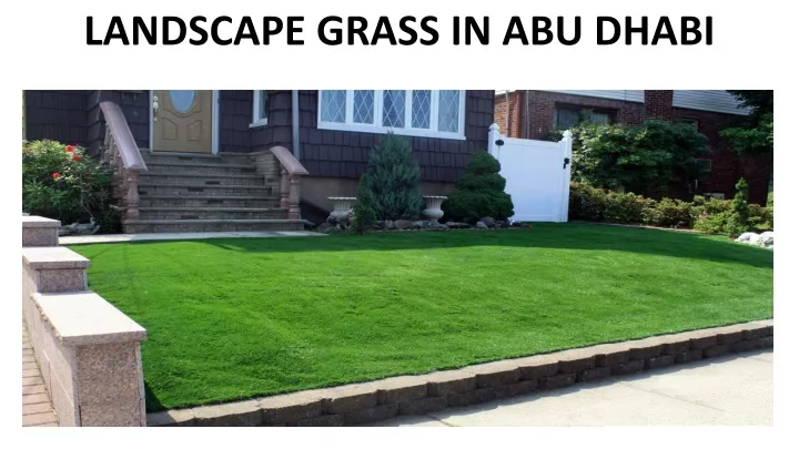 landscape grass in abu dhabi