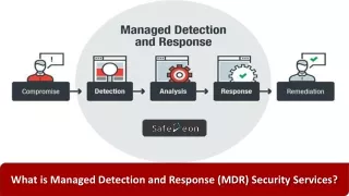 What is Managed Detection and Response (MDR) Security Services?