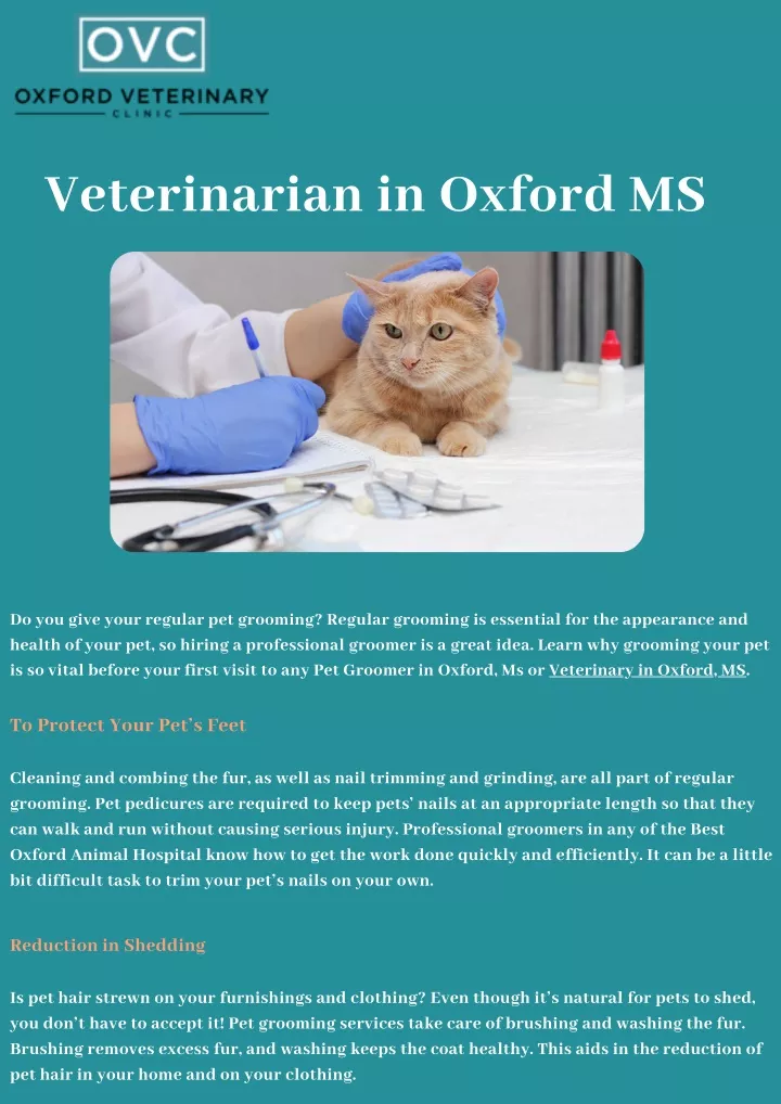 veterinarian in oxford ms