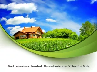 Find Luxurious Lombok Three-bedroom Villas for Sale