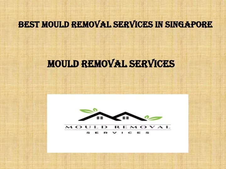 best mould removal services in singapore