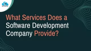 What services does a software development company provide
