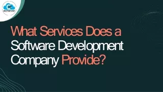 What services does a software development company provide
