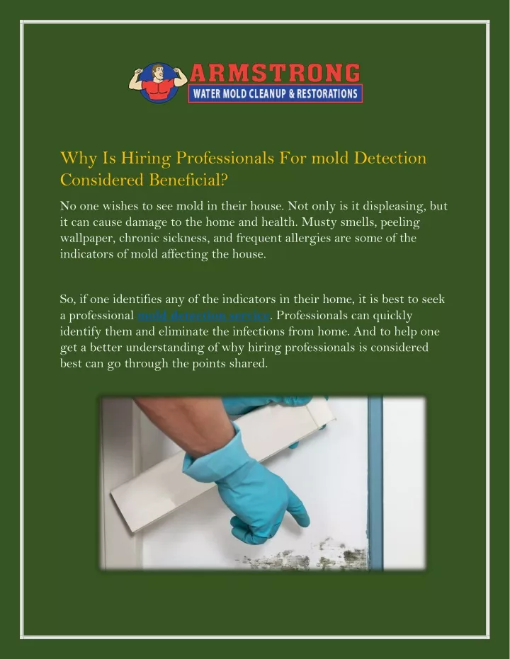 why is hiring professionals for mold detection