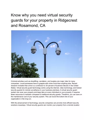 know why you need virtual security guards