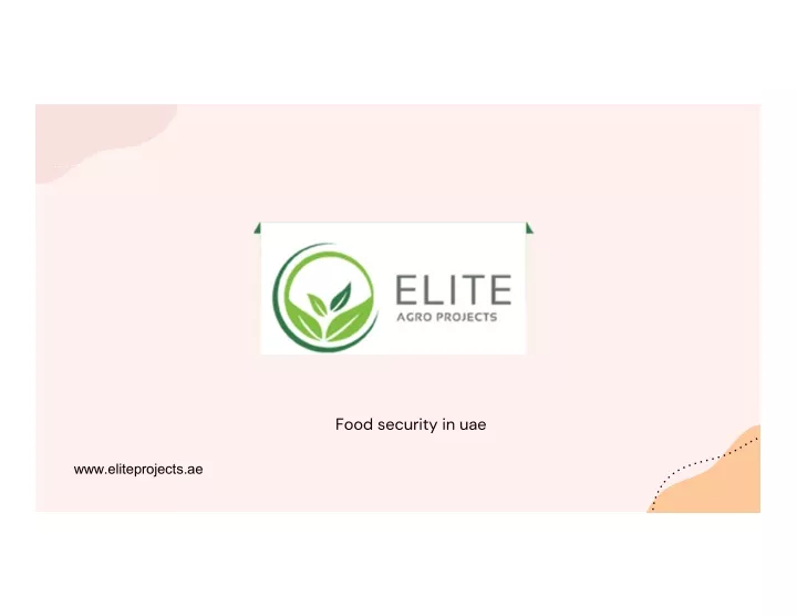 www eliteprojects ae