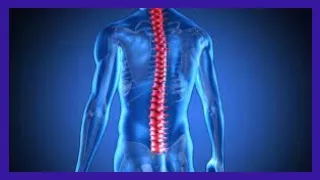 Best Spine Care of Symptoms