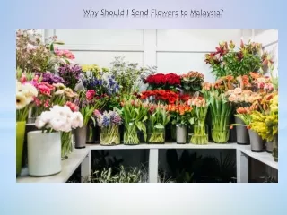 Why Should I Send Flowers to Malaysia?