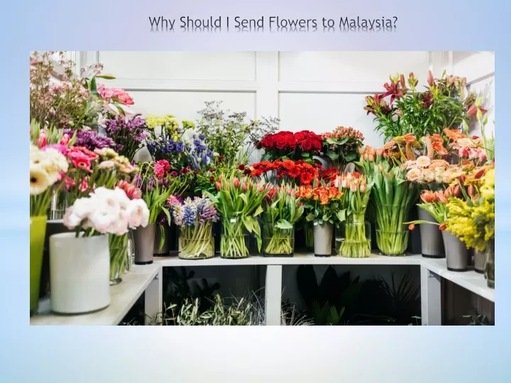 why should i send flowers to malaysia