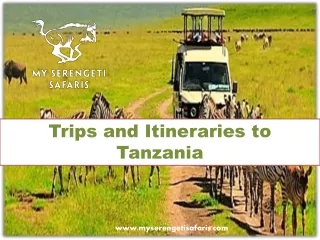 Trips and Itineraries to Tanzania