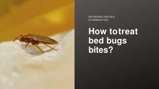 How to treat bed bugs bites