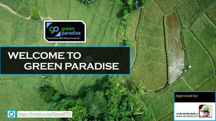 welcome to green paradise