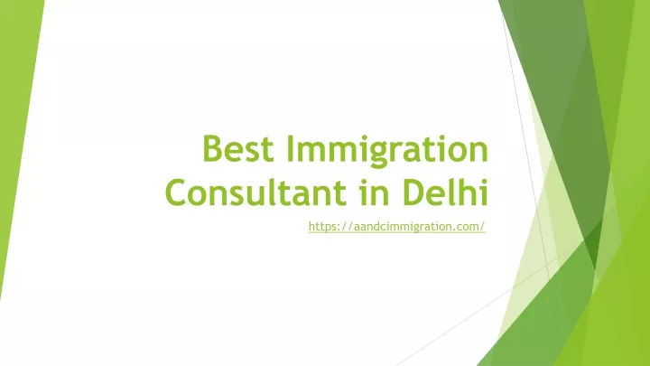 best immigration consultant in delhi