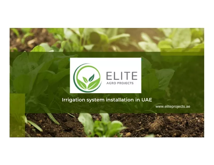 irrigation system installation in uae
