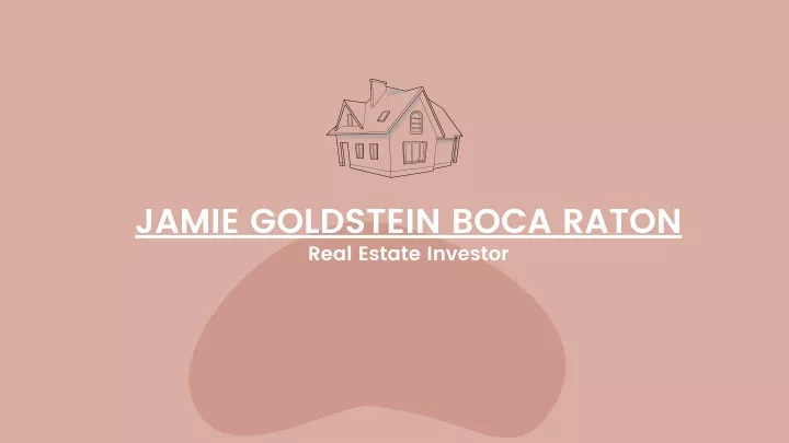 jamie goldstein boca raton real estate investor
