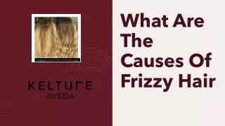 What Are The Causes Of Frizzy Hair