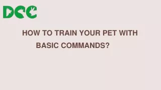 How To Train Your Pet With Basic Commands