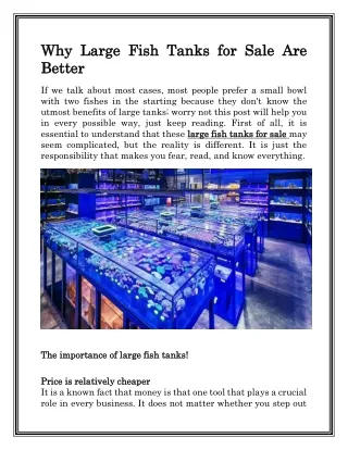 Buy Fish for an Aquarium  Aquatic- Sealife