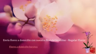 env a flores a domicilio con nuestra florister
