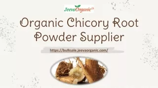 Organic Chicory Root Powder Supplier | Bulk Chicory Root Powder
