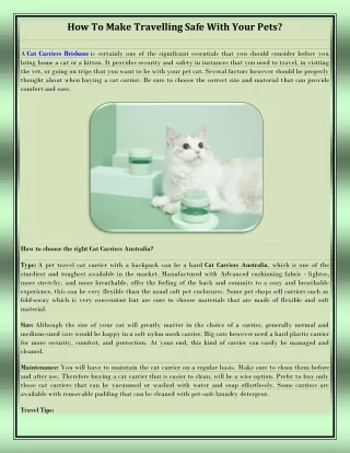 How To Make Travelling Safe With Your Pets?