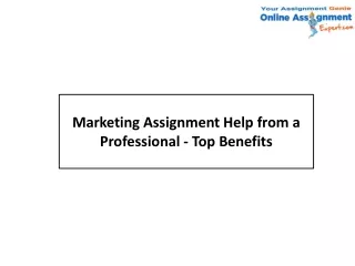 marketing assignment help from a professional