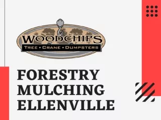 Forestry Mulching Ellenville