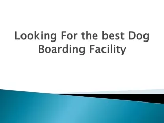 looking for the best dog boarding facility