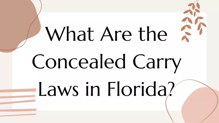 what are the concealed carry laws in florida