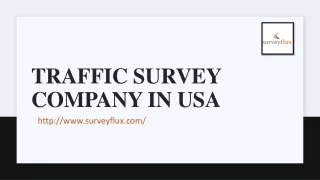 traffic survey company in usa